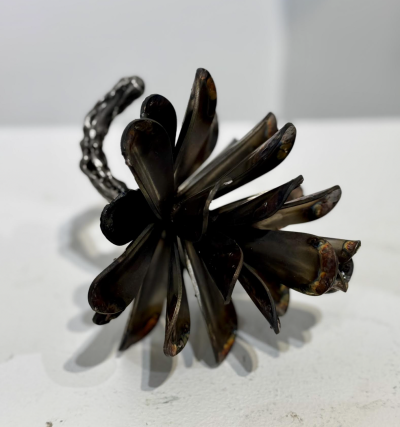 Floyd Elzinga 26 003 Pine Cone