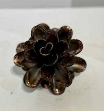 Floyd Elzinga 26 003 Pine Cone
