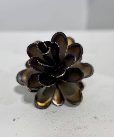 Floyd Elzinga 26 066 Pine Cone