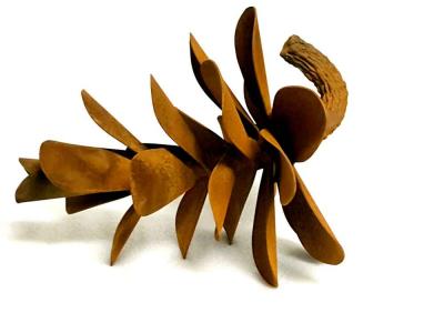 Floyd Elzinga Pine Cone 12 20 045