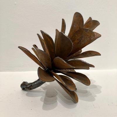 Floyd Elzinga Pine Cone 20 261