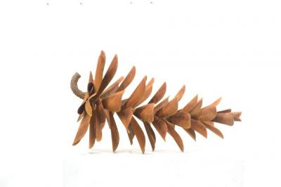 Floyd Elzinga Pine Cone 24 20 110
