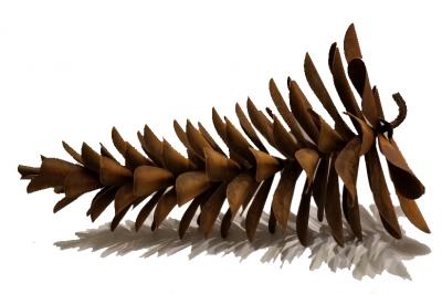 Floyd Elzinga Pine Cone 48 19 105