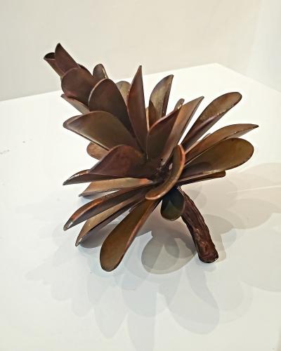 Floyd Elzinga Pinecone 25 337