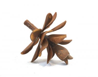 Floyd Elzinga Pinecone 25 365