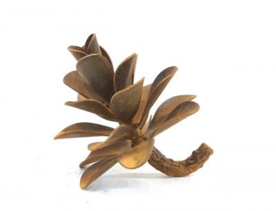 Floyd Elzinga Pinecone 25 459