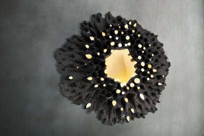 Forest Mirror by Eduard Locota Wall Sculpture Polished Brass Brass Wire Coal