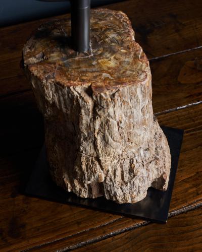Fossilized Wood Table Lamp France 20th C