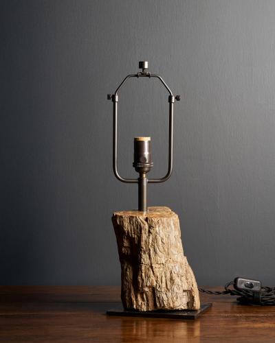 Fossilized Wood Table Lamp France 20th C
