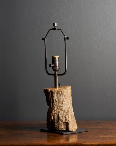 Fossilized Wood Table Lamp France 20th C