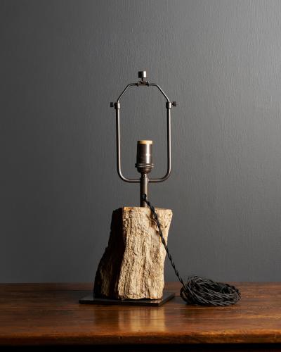 Fossilized Wood Table Lamp France 20th C
