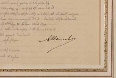 Framed American Victorian Watercolor Botanical Drawing Rungia Parviflora 