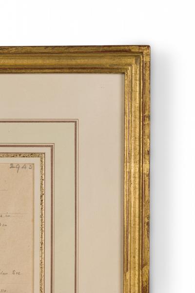 Framed American Victorian Watercolor Botanical Drawing Rungia Parviflora 