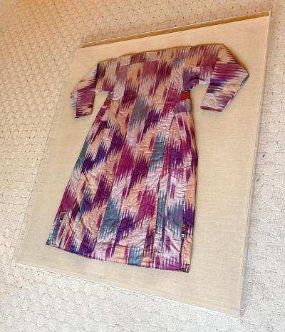 Framed Antique Silk Ikat Chapan Robe Central Asia with Provenance
