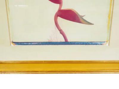 Framed Botanical Print By Linda L Broadfoot