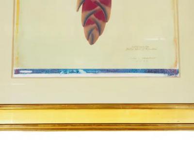 Framed Botanical Print By Linda L Broadfoot