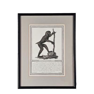 Framed Engraving Il Bobbuino di Bosco Italy circa 1812