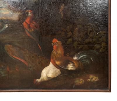 Framed European Still Life Of Birds