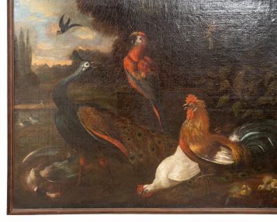 Framed European Still Life Of Birds