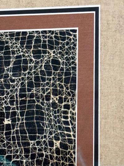 Framed Pre Columbian Gauze Textile Panel Chancay Culture