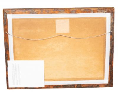 Framed Print Of A Fin Whale