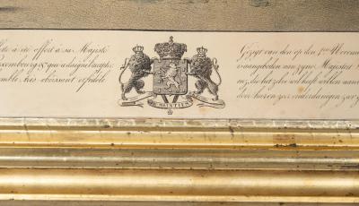 Framed Print Of A Fin Whale