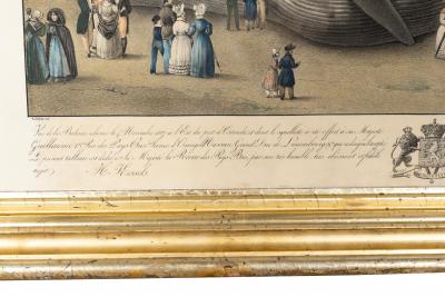 Framed Print Of A Fin Whale