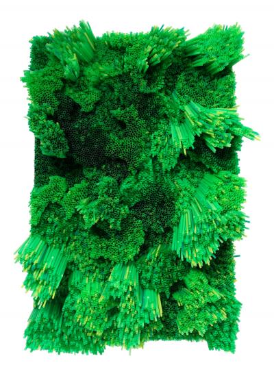 Francesca Pasquali Green Straws