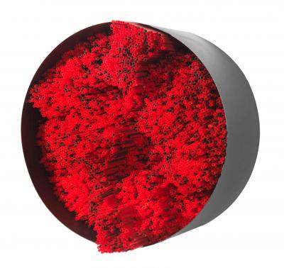 Francesca Pasquali Red Straws