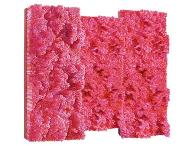 Francesca Pasquali Straws