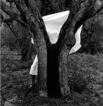 Francesca Woodman Untitled 1977 1978