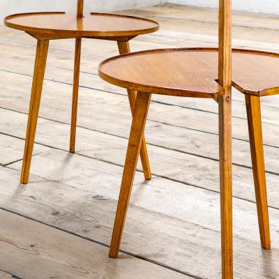 Franco Albini Franco Albini Pair of TN6 Cicognino Coffee Tables in Wood 50s