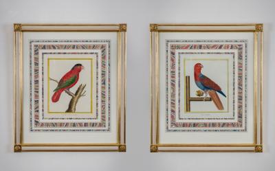 Francois Nicholas Martinet Francois Nicolas Martinet Pair Framed Parrot Engravings