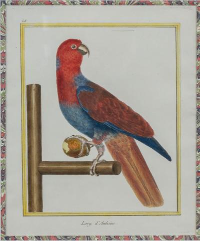 Francois Nicholas Martinet Francois Nicolas Martinet Pair Framed Parrot Engravings