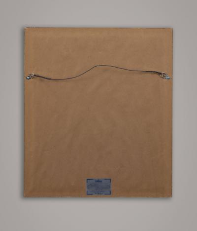 Francois Nicholas Martinet Francois Nicolas Martinet Pair Framed Parrot Engravings