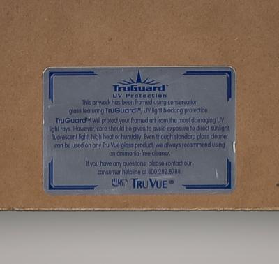 Francois Nicholas Martinet Francois Nicolas Martinet Pair Framed Parrot Engravings