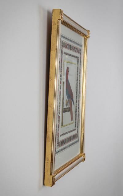 Francois Nicholas Martinet Francois Nicolas Martinet Pair Framed Parrot Engravings