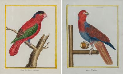 Francois Nicholas Martinet Francois Nicolas Martinet Pair Framed Parrot Engravings