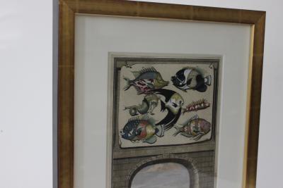 Francois Valentijns Fish Seashore