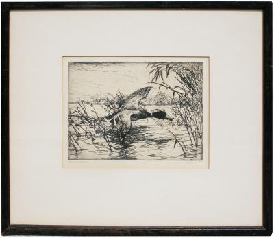 Frank Weston Benson Mallard Drake