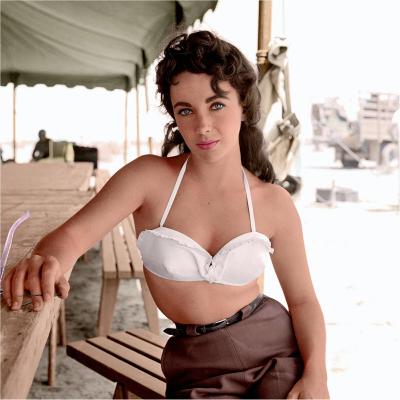 Frank Worth Elizabeth Taylor Behind the Scenes
