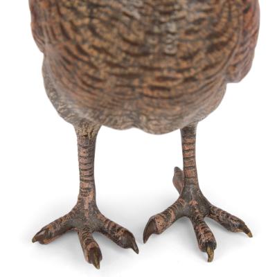 Franz Xaver Bergmann A large Viennese antique cold painted bronze bird model attr Bergman