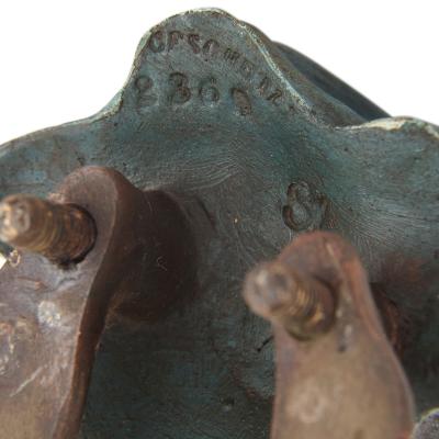 Franz Xaver Bergmann Antique Viennese cold painted bronze sculpture with a camel by Bergman