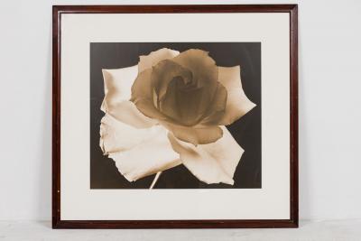 Frederic Ohringer Signed Photograph Joyce 1940 