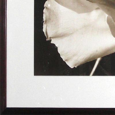 Frederic Ohringer Signed Photograph Joyce 1940 