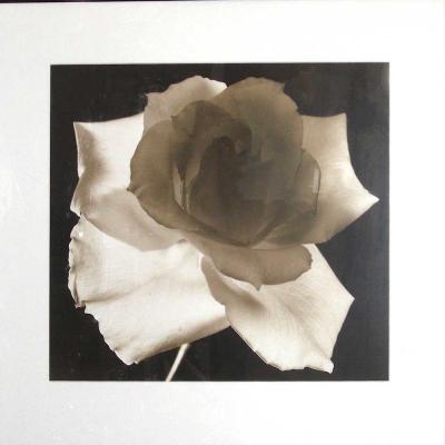 Frederic Ohringer Signed Photograph Joyce 1940 