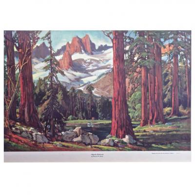 Frederick W Becker Majestic Redwoods Lithograph by Frederick W Becker circa 1952