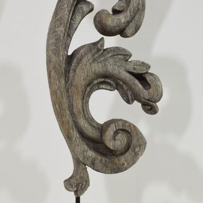 French 17 18th Century Hand Carved Oak Baroque Curl Ornament