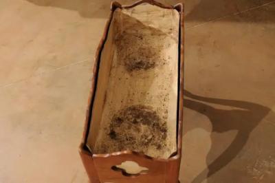 French 1850s Louis XV Style Cherry Planter with Quatrefoil Motifs and T le Liner