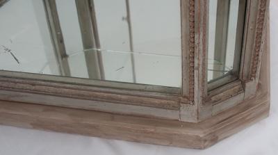 French 19th Century Counter Top Display Cabinet